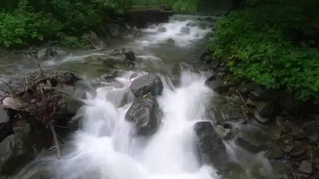 山东环保垂直新方案，自然美景探索之旅启动