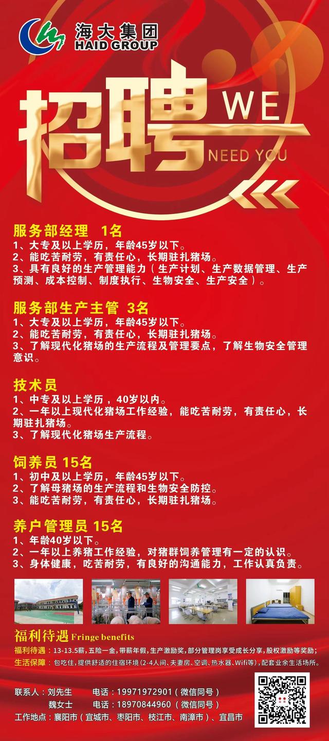 磁业公司最新招聘信息揭秘，启程探索自然美景，职业发展新旅程！