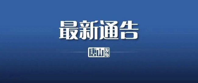品牌管理新篇章，品牌之家的温馨日常